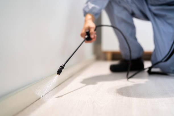 Licensed Mosquito Control service in Berkley, MI - Show Me Pest Control