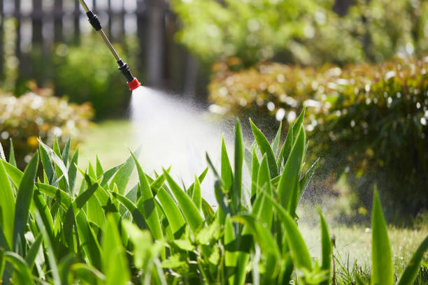 24/7 Emergency Mosquito Control experts in Berkley, MI