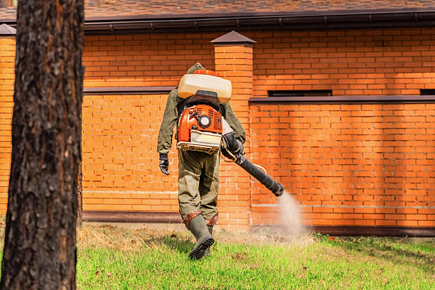 Top rated local Mosquito Control specialists in Berkley, MI